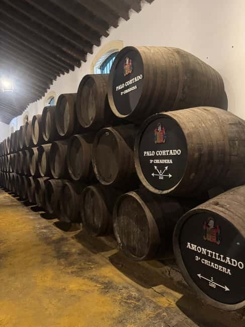 Cadiz: Private Tour with Wine Tasting - Final Thoughts: Is It Worth It?