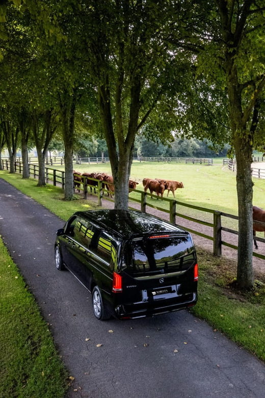 Caen: Guided Tour of Caen and Bayeux - Price and Logistics: Is It Worth It?