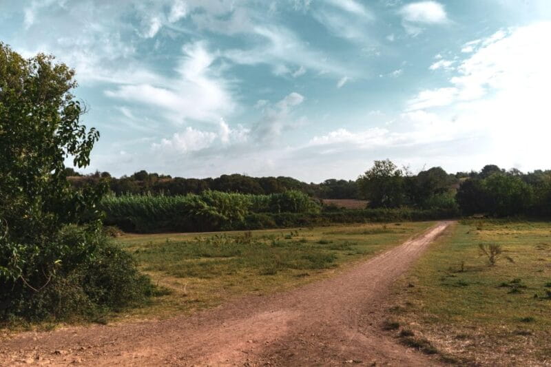 Caffarella Park: Rome's Secret Urban Hiking Paradise - Key Points / Takeaways