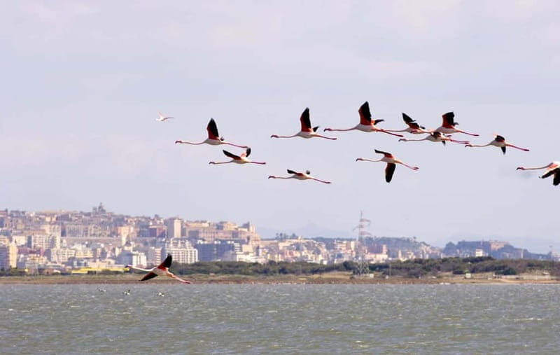 Cagliari: Bike & Hike Tour - Price and Value Considerations