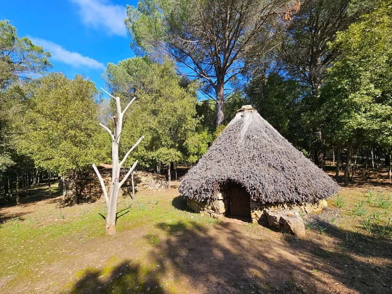 Cagliari: Blue Zone Experience Day Trip - FAQs