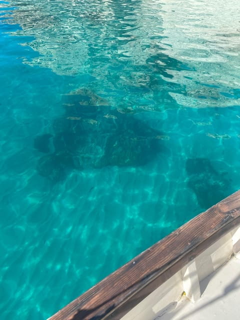 Cagliari: Classic Boat tour along the gulf with tasting. - Key Points / Takeaways