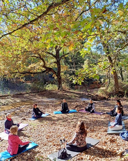 Cagliari: forest bathing at Sette Fratelli Park - Entering the World of Forest Bathing in Sette Fratelli Park