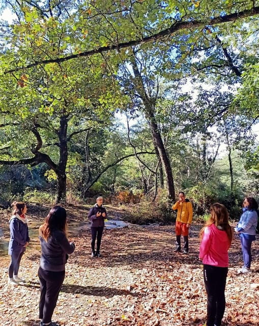 Cagliari: forest bathing at Sette Fratelli Park - FAQ