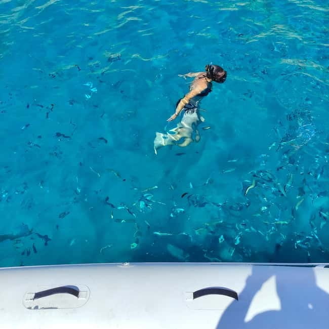 Cagliari Gulf Boat Tour; Swim stops, Snorkeling, Sip & Snack - Key Points / Takeaways