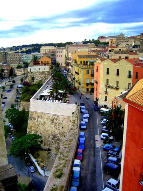Cagliari Half-Day Private Sightseeing Tour - Price and Logistics