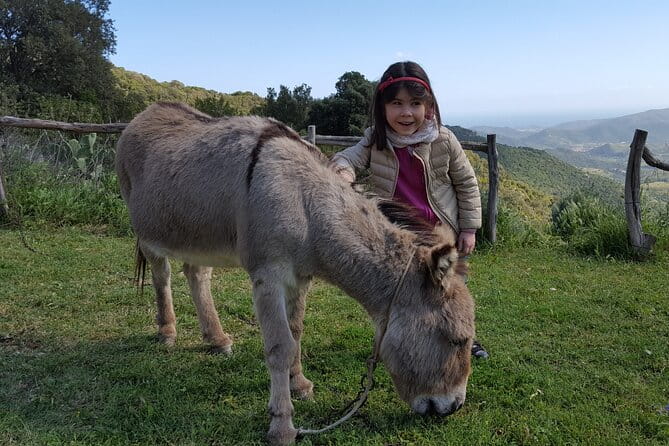 Cagliari: Nuraghe Private Tour of Sardinia from Chia - FAQ