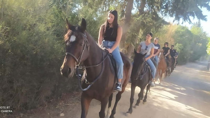 Cagliari: panoramic horseback riding - The Sum Up: Who Is It Best For?