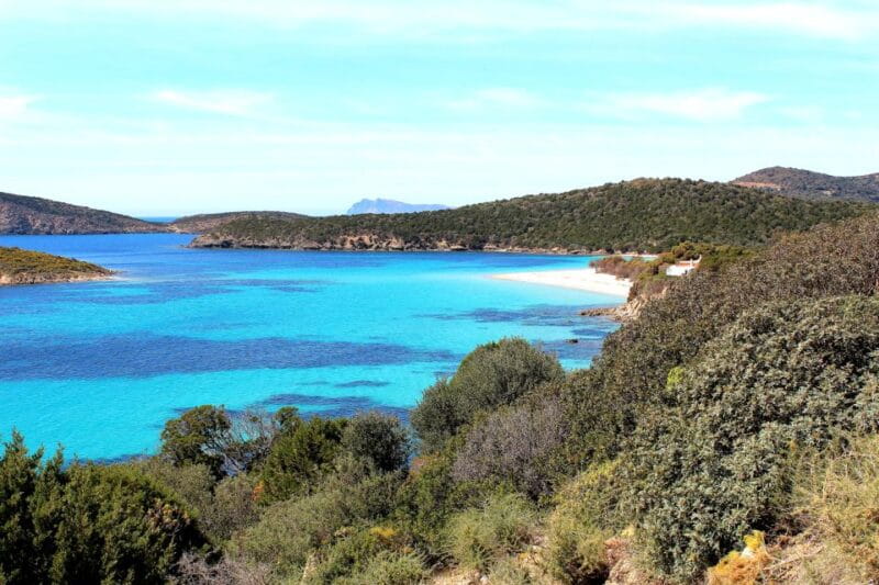 Cagliari Shore Excursion: Amazing Hidden Beaches Jeep Tour - Price and Value Analysis