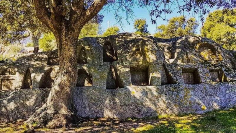 Cagliari: visit a craft brewery - The Sum Up: Why This Experience Matters