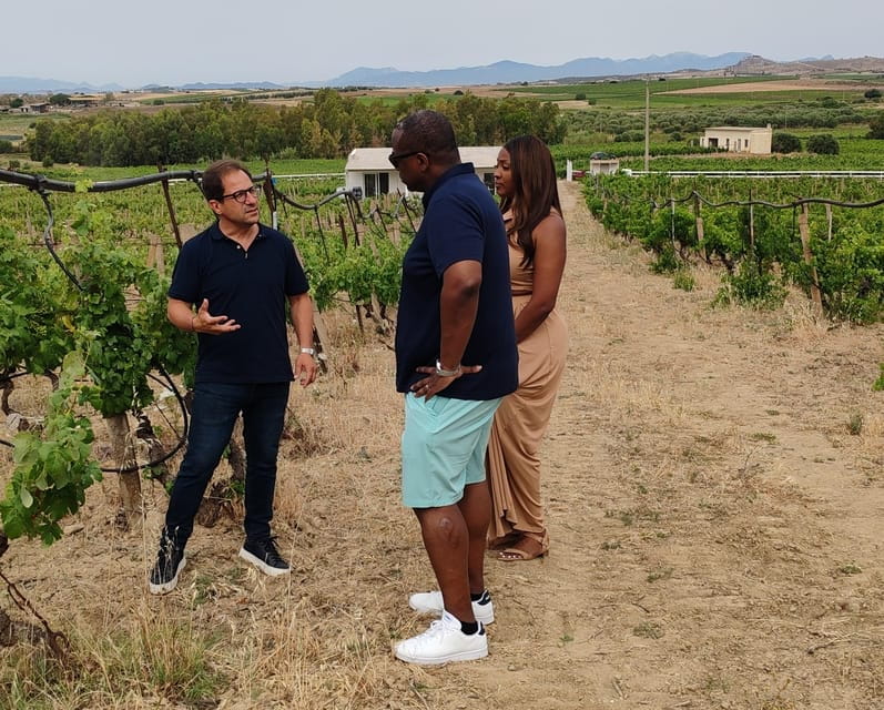 Cagliari: Wine and Olive oil Experience + Oil Mill Museum - Key Points / Takeaways