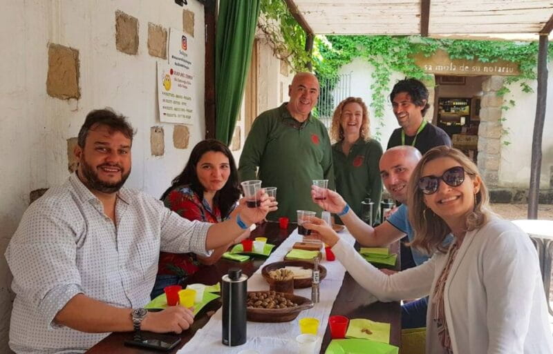 Cagliari: Wine, Cheese and Olive Oil Tasting Shore Excursion - The Sum Up