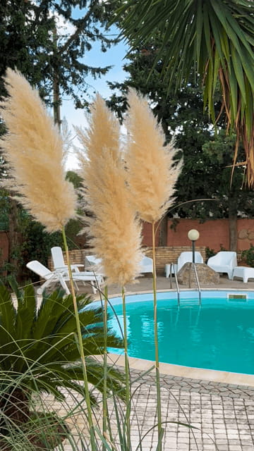 Cagliari: Workshop di pasta fresca tradizionale sarda - The Perfect Tasting Experience