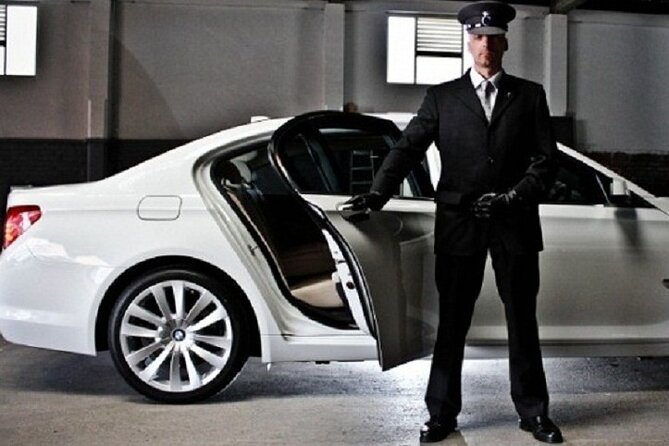 Cairo and Giza Airport Pick Up or Transfer - Accessibility and Additional Info