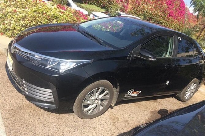 Cairo and Giza Airport Pick Up or Transfer - Pricing and Inclusions