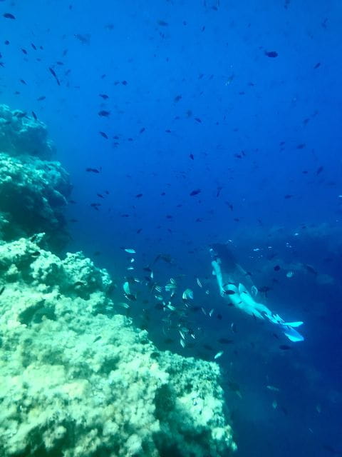 Cala Codolar: Guided Sea Kayaking and Snorkeling Tour - Things To Know