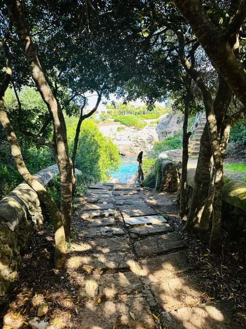 Cala en Blanes: Secret spots for the best dives with a local guide - Key Points and Takeaways