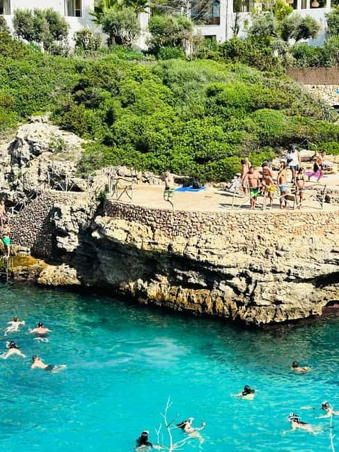 Cala en Blanes: Secret spots for the best dives with a local guide - Price and Value