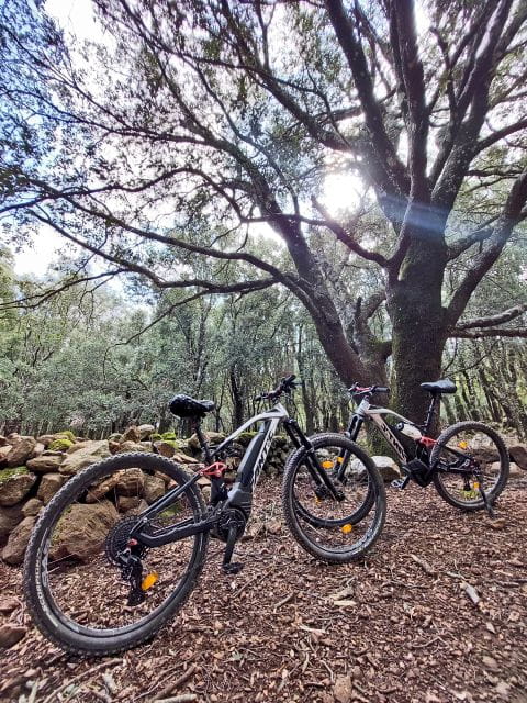 Cala Gonone and Dorgali e-bike tour - Price, Value, and Practical Tips