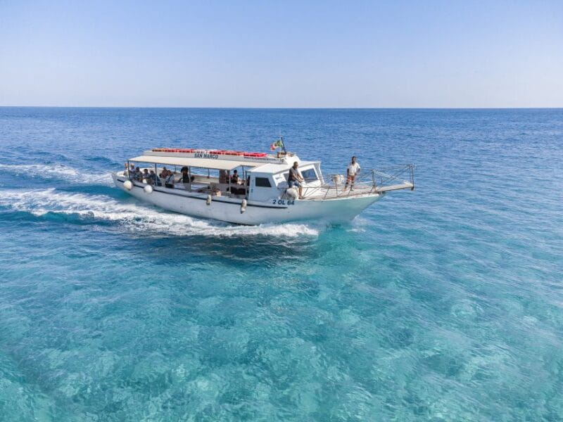 Cala Gonone: Gulf of Orosei Cruise with Food and Swimming - Exploring the Gulf of Orosei: A Day in the Water and Sun