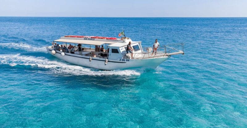 Cala Gonone: Gulf of Orosei Cruise with Food and Swimming - Who Should Book This Tour?
