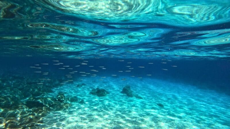 Cala Gonone: Snorkeling in the Orosei Gulf - FAQ: Practical questions answered