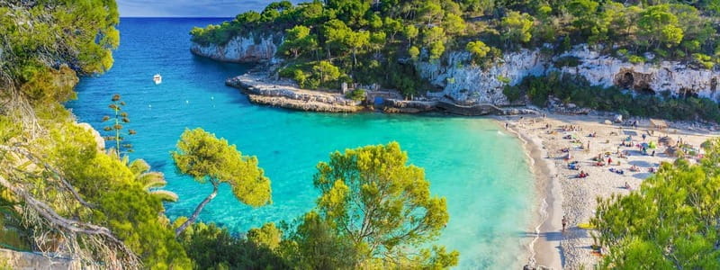Cala Llombards o Cala Santany & Es Pontas Snorkel and SUP - Starting Your Mallorca Adventure: What to Expect