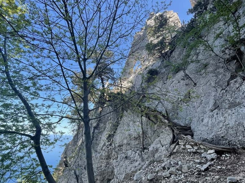 Cala Mariolu: Jeep and Boat transfers for self guided hike - Introducing the Cala Mariolu Jeep and Boat Experience