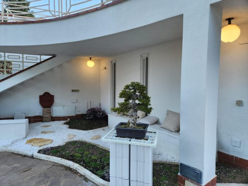 Calabria: 3-Day Bonsai Workshop with Accommodation - Key Points / Takeaways