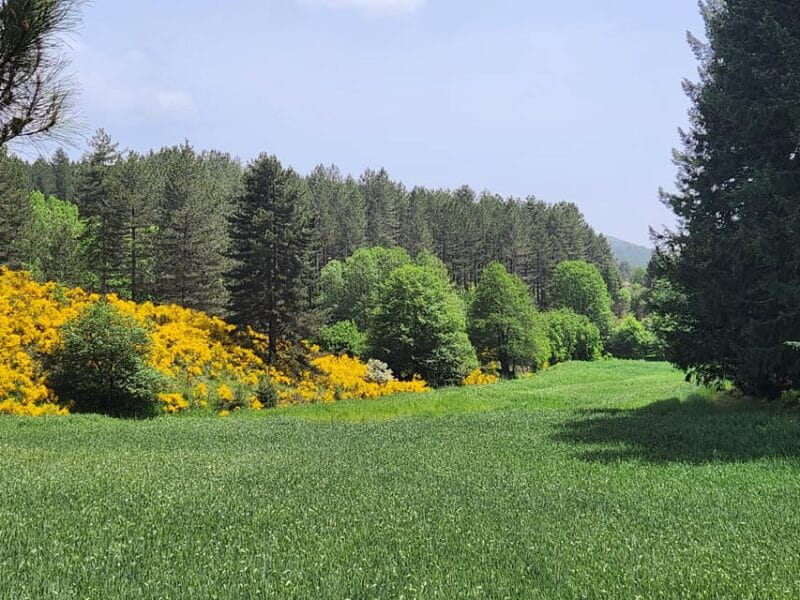 Calabria: 3-Day Bonsai Workshop with Accommodation - FAQ