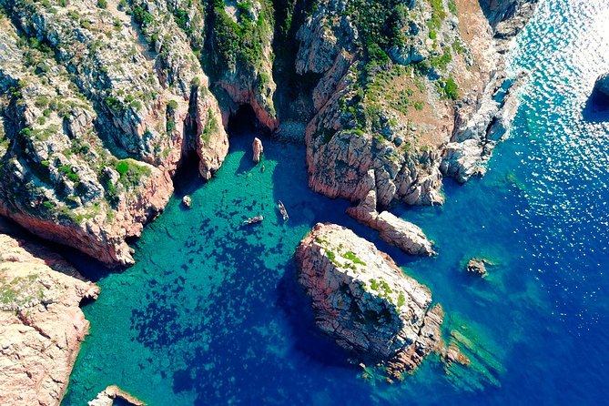 Calanches De Piana and Scandola Reserve Cruise With Swimming Stop - Key Points