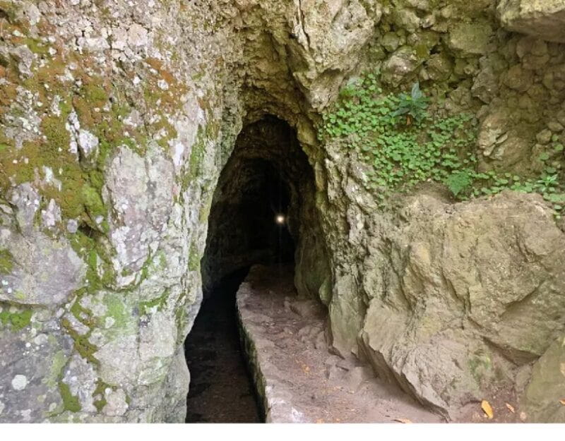 Caldeirão Verde: Queimadas PR9 Transfer and Self-Guided Hike - Price & Logistics: Does It Deliver?