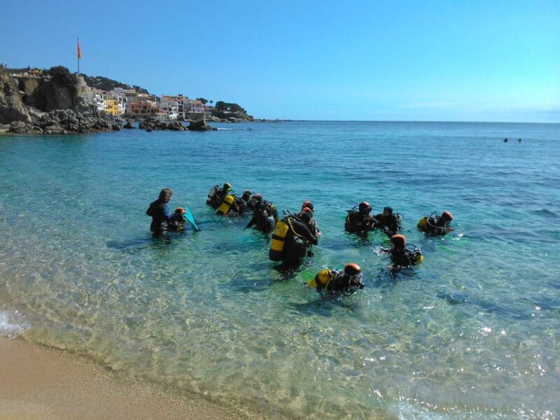 Calella de Palafrugell : Discover Scuba Diving Experience - An In-Depth Review of the Calella de Palafrugell Discover Scuba Experience
