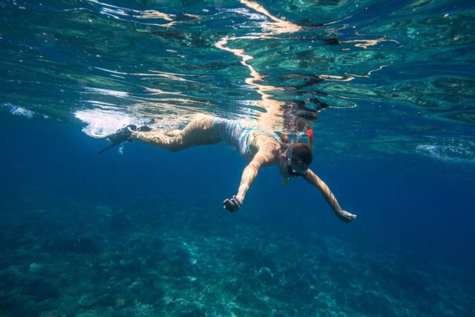 Caleta De Fuste: Catamaran Sailing Experience - Sailing Experience and Amenities