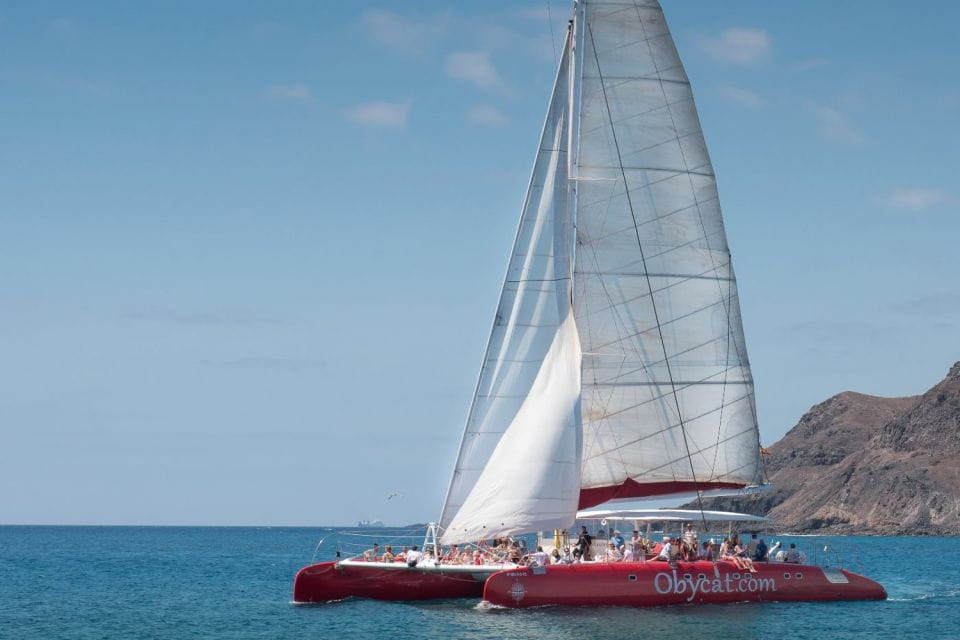 Caleta De Fuste: Catamaran Sailing Experience - Opportunity to Spot Wildlife