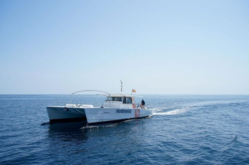 Calpe: Catamaran Tour with Optional Swim Stop - Who Should Book This Experience?