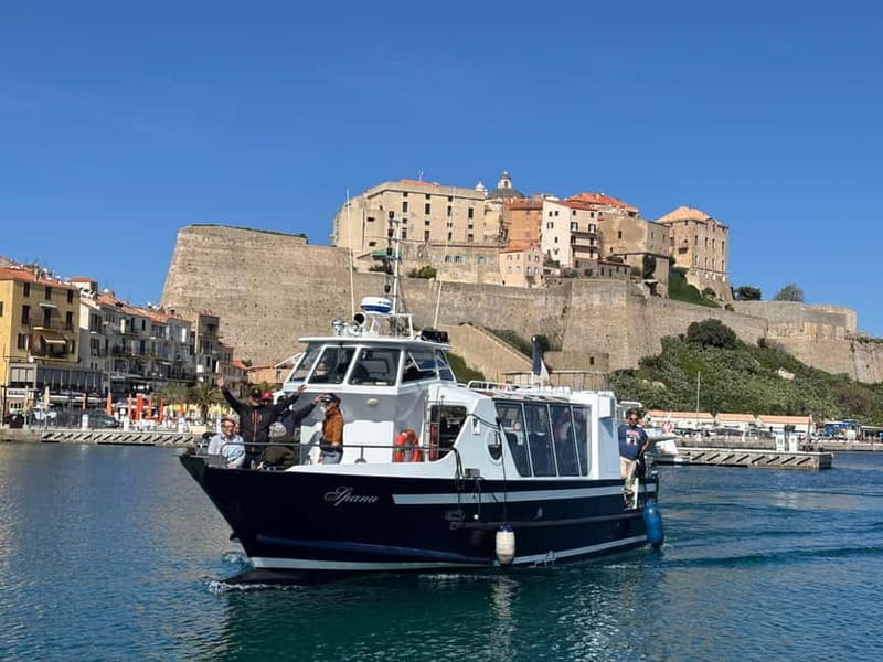 Calvi: Guided motorboat tour of Scandola and Girolata - Who Will Love This Experience?