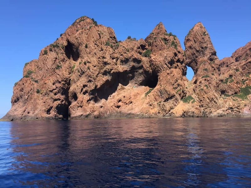 Calvi: guided tour by speedboat to Scandola - Exploring Corsica’s Natural Wonder: Calvi’s Speedboat to Scandola