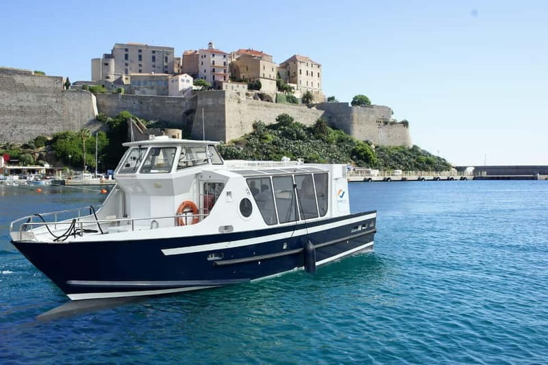 Calvi: guided tour by speedboat to Scandola - Price and Logistics