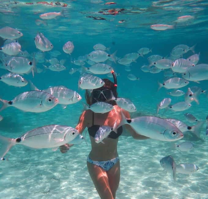 Calvi : Snorkeling Adventure by the Natural Reserve - Exploring Corsica’s Underwater Charm: A Review of the Calvi Snorkeling Adventure