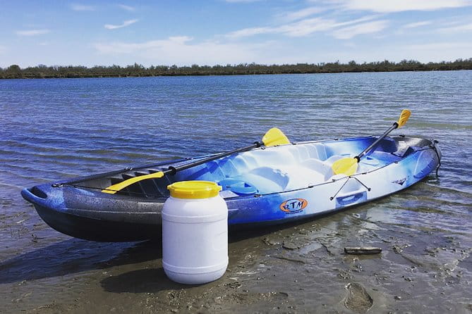 Camargue 4x4 Safari 2h + Picnic + Kayak - Entering the Camargue: The 4x4 Safari Experience