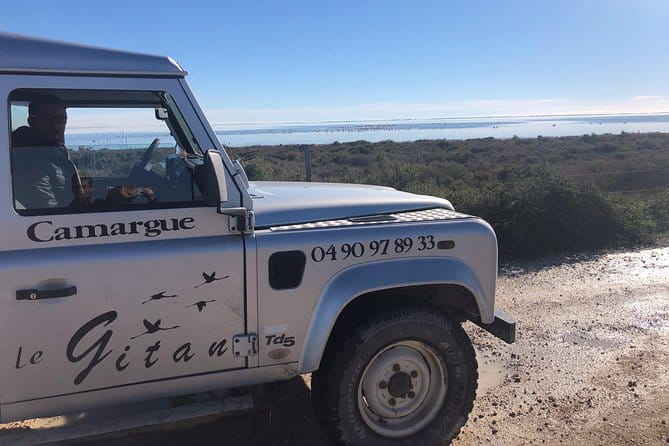 Camargue 4x4 Safari Day - The Full Breakdown: What to Expect on the Camargue 4x4 Safari