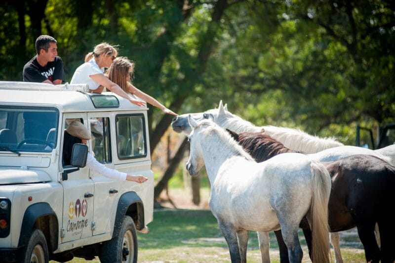 Camargue: Half-Day 4x4 Guided Safari Adventure - A Taste of Camargue: Food and Wine