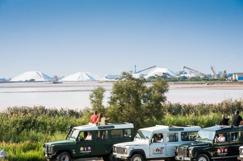 Camargue: Half-Day 4x4 Guided Safari Adventure - Who Will Love This Tour?
