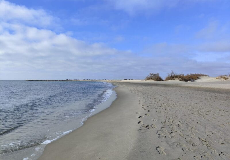 Camargue, its secrets and its magic: an exclusive tour - Key Points / Takeaways