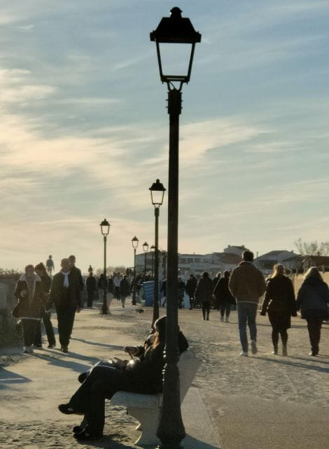 Camargue, its secrets and its magic: an exclusive tour - Price and Overall Value