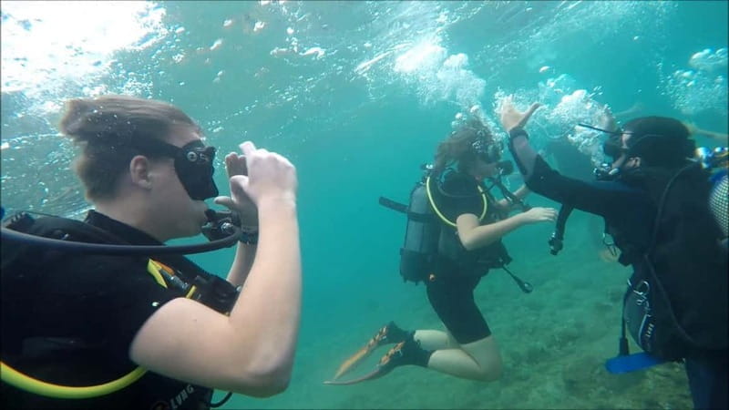 Cambrils: club Scuba Diving for beginners with hotel pickup - Key points / Takeaways