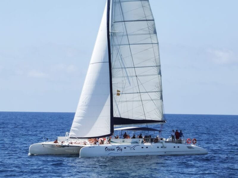 Cambrils: Costa Daurada Sail Catamaran Cruise - Who Will Love This Cruise?