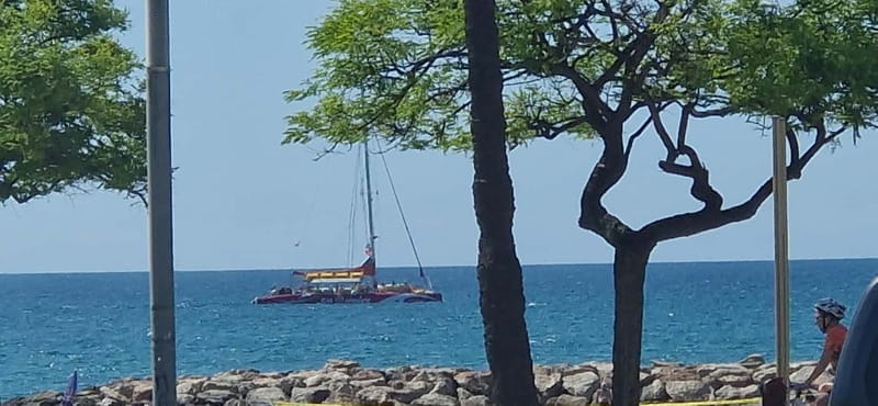 Cambrils/Salou: Coastline Catamaran 3h with drinks ,bed - FAQs