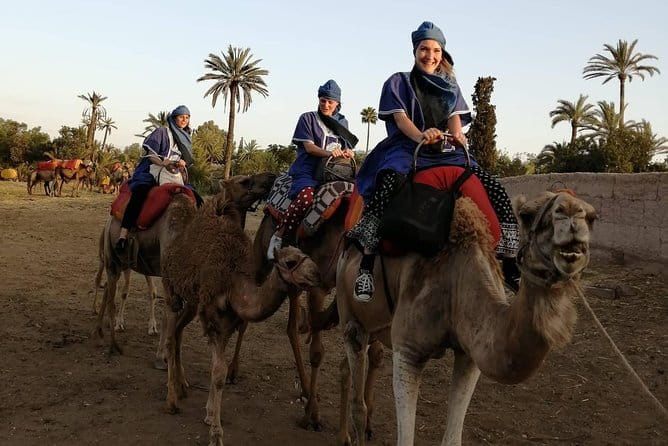 Camel Ride at the Palm Groves in Marrakech - Dress in Traditional Garb